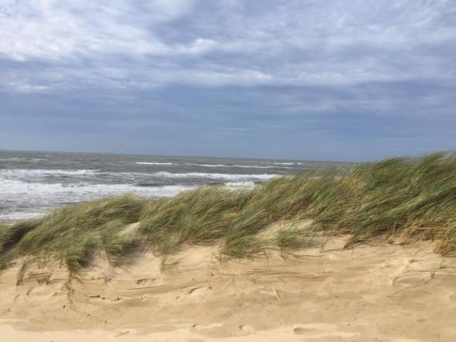 De Nollen Apartamento Egmond aan den Hoef Exterior foto